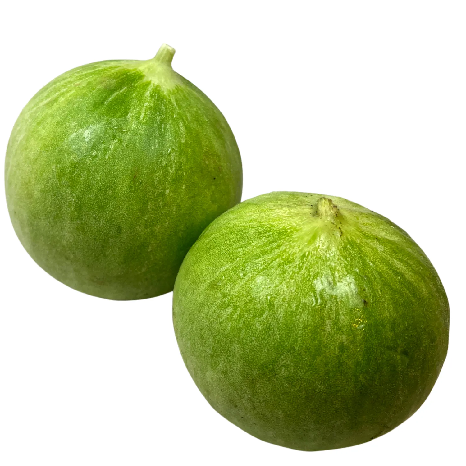 Cetrioli Barattieri Bio