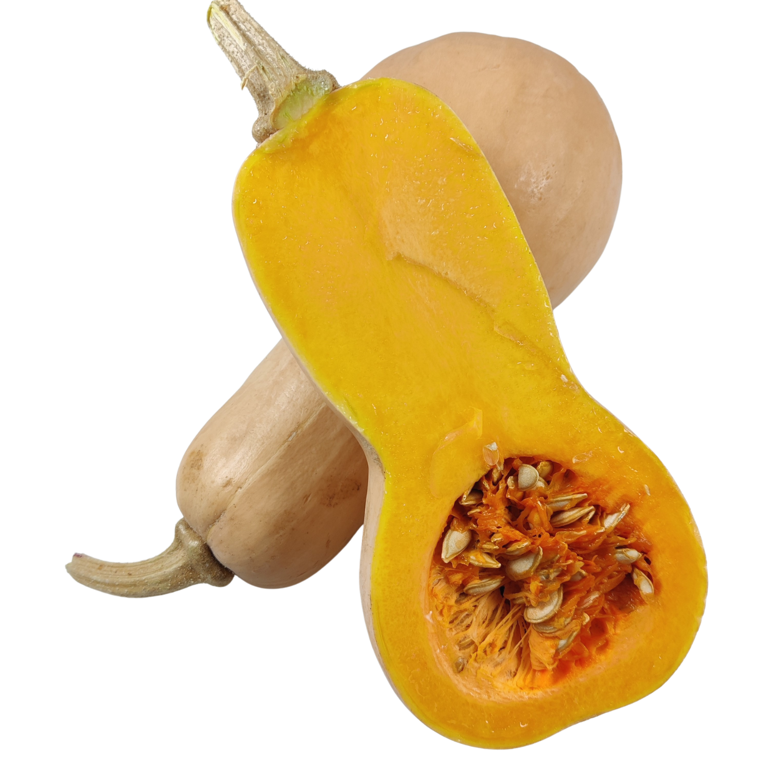 Kürbis Butternut xxl ca. 3 kg