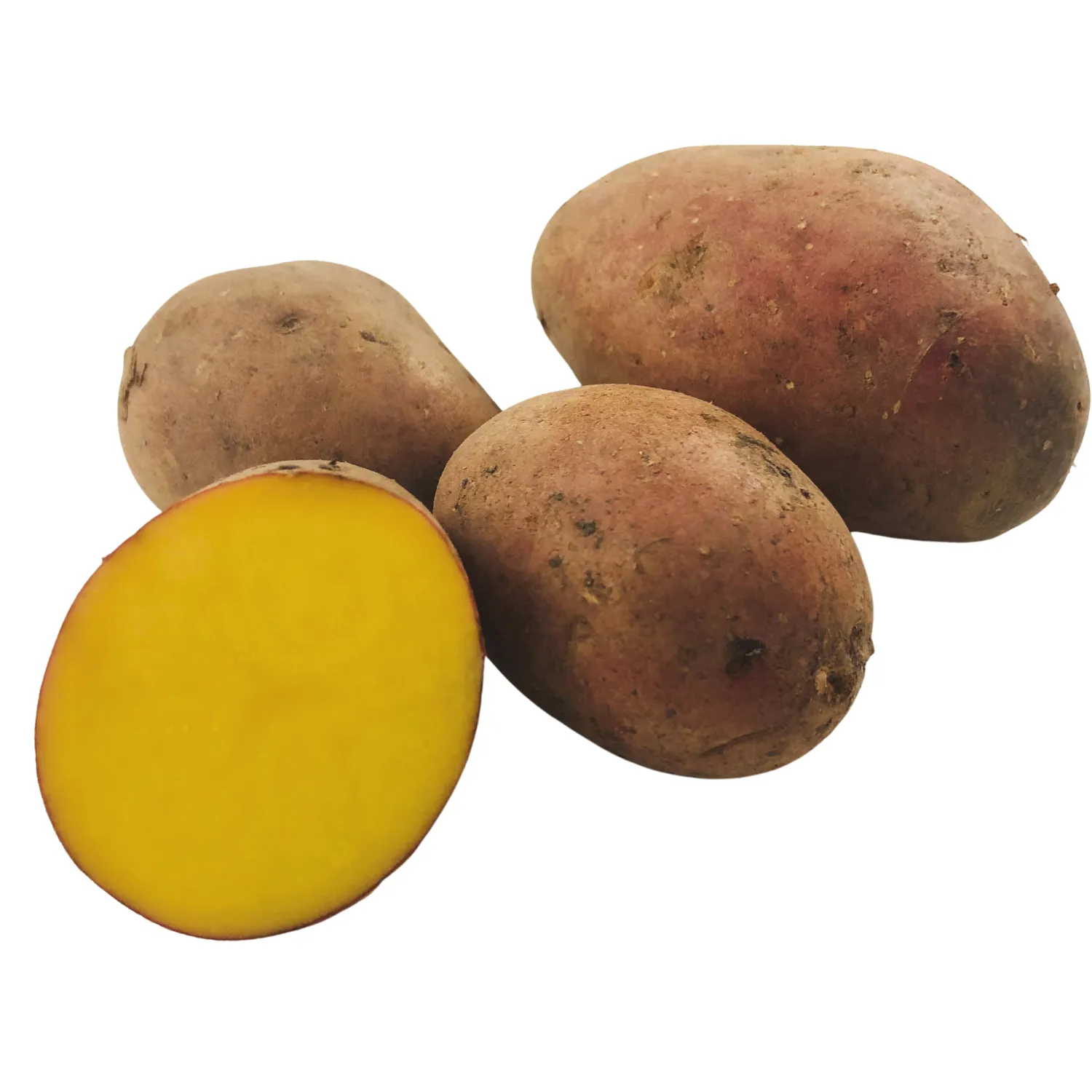 Patate rosse Bio