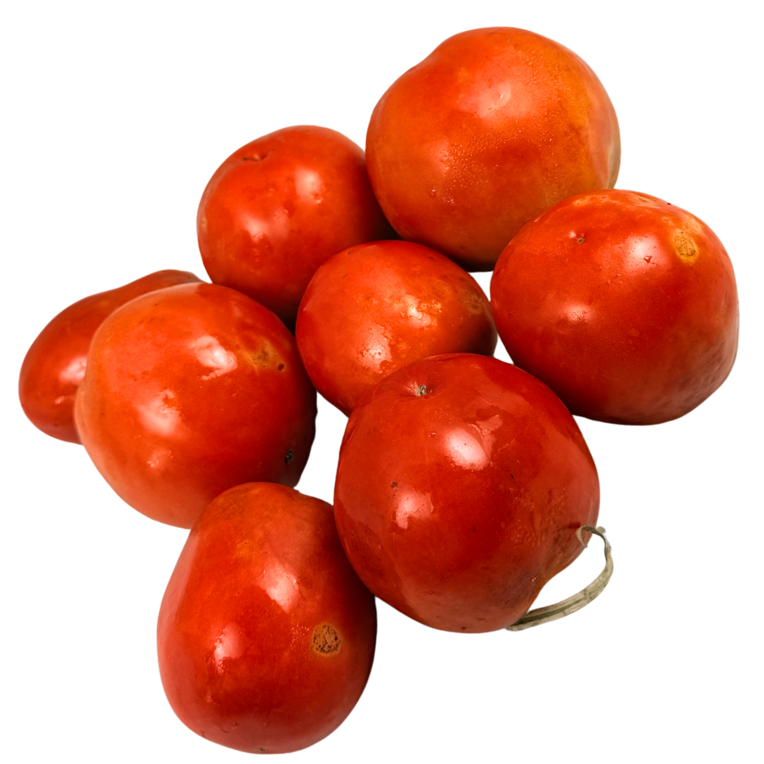 Pomodori da sugo Bio (varietà Priapos)
