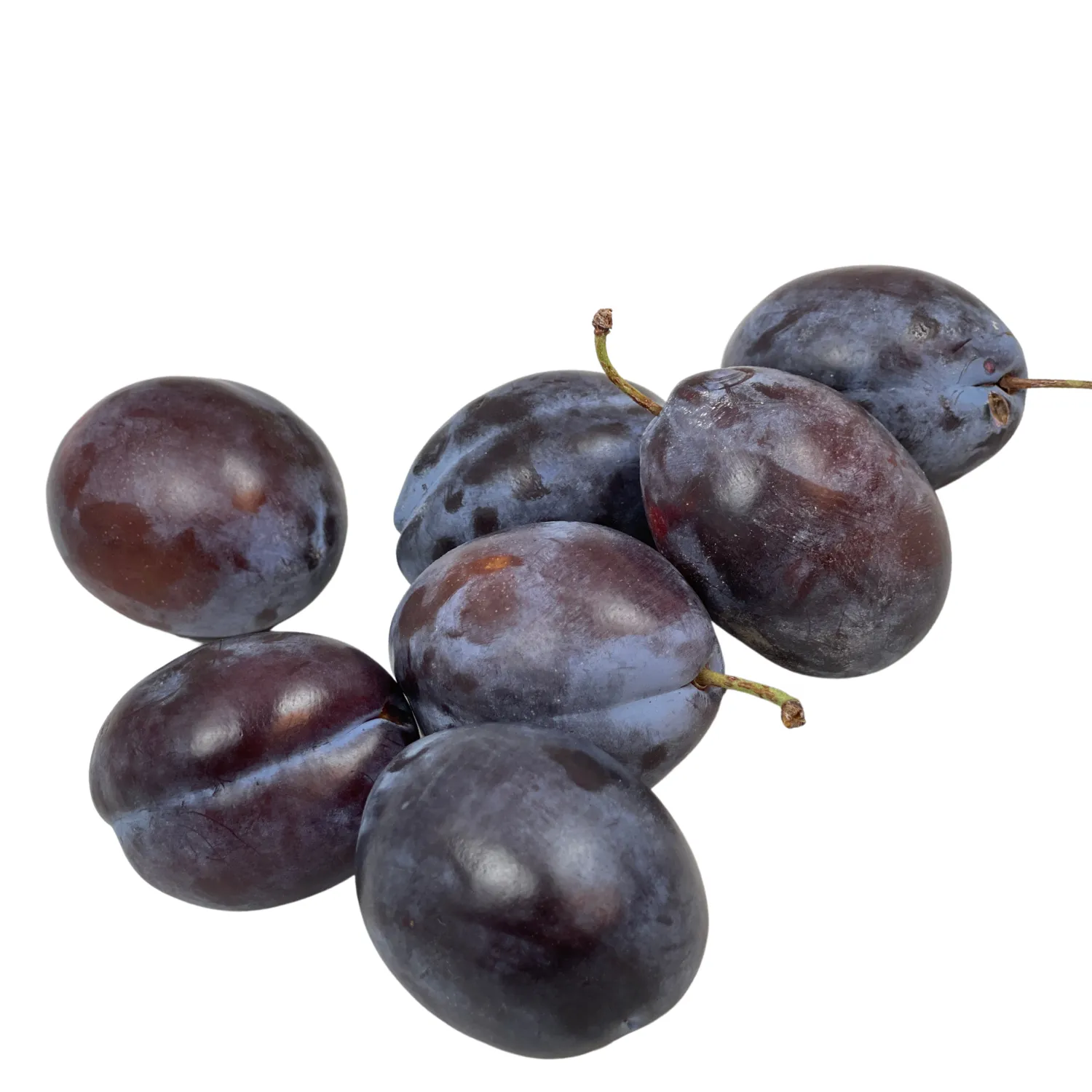 Prugne Bio