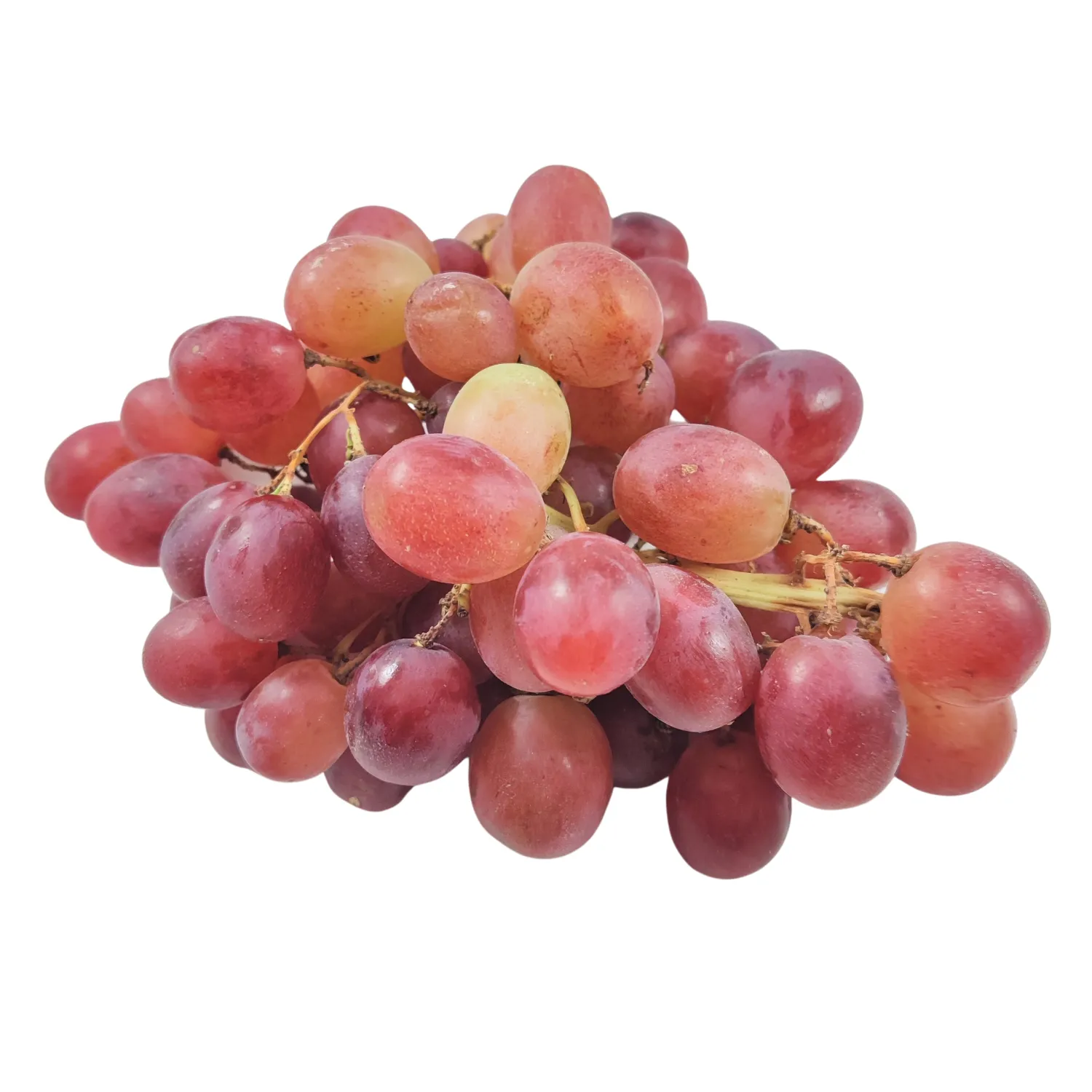 Uva rossa Bio senza semi