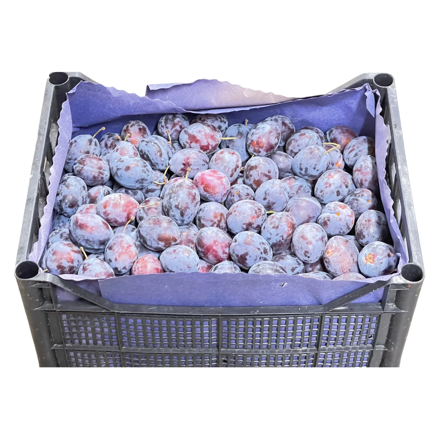 Prugne Bio Cassa ca. 9 kg