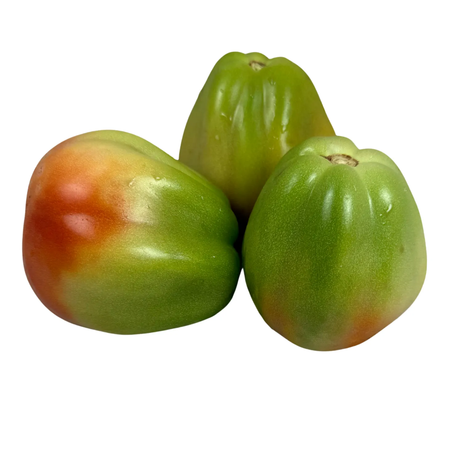 Pomodoro cuor di bue Bio