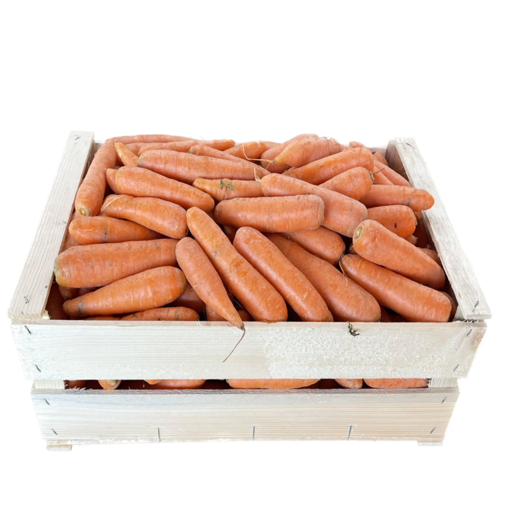 Carote Bio dell'Alto Adige Cassa 10 kg
