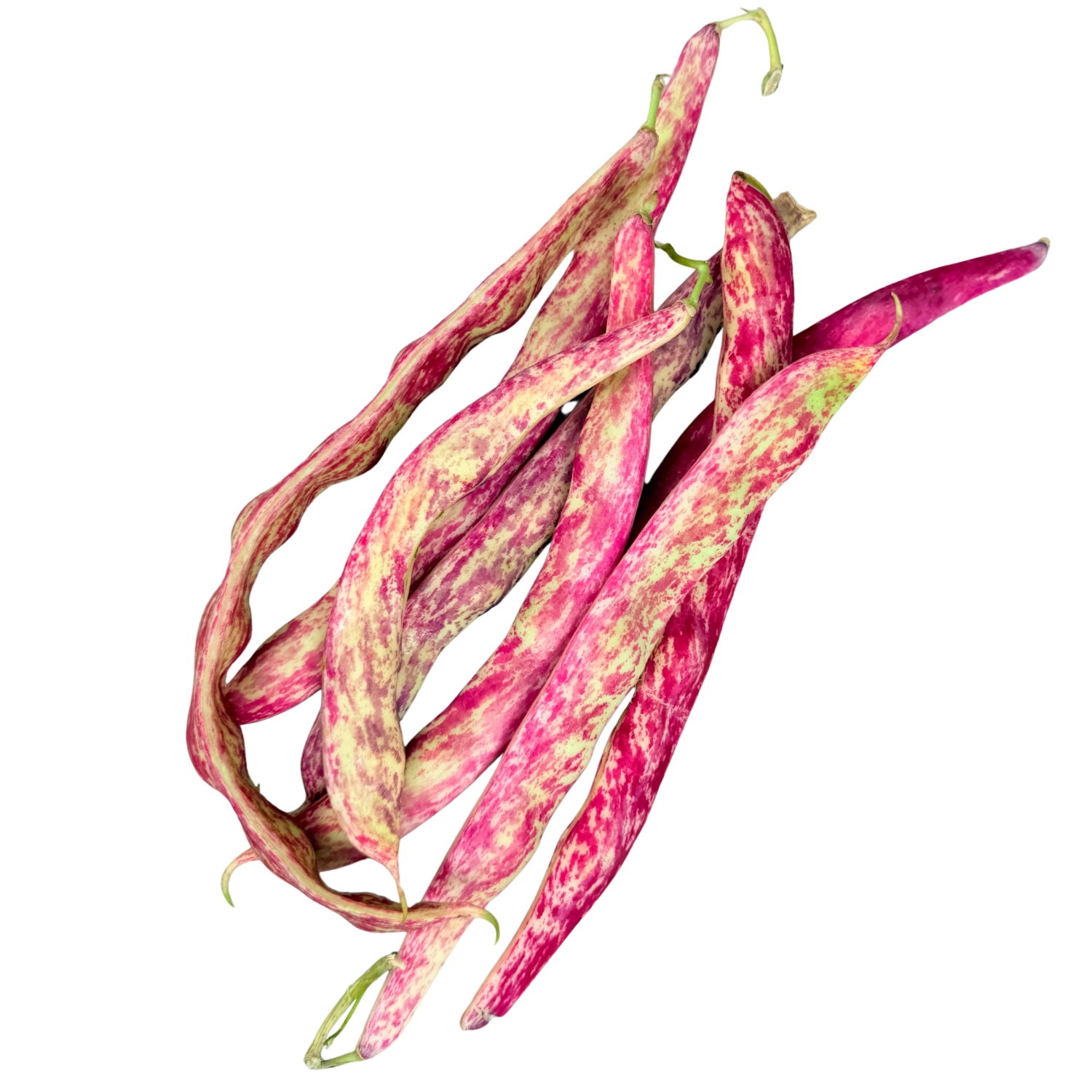 Fagioli Borlotti Bio