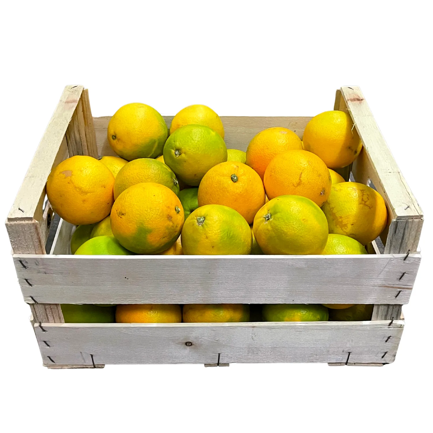 Saftorangen Bio - Kiste 10 kg - neue Ernte