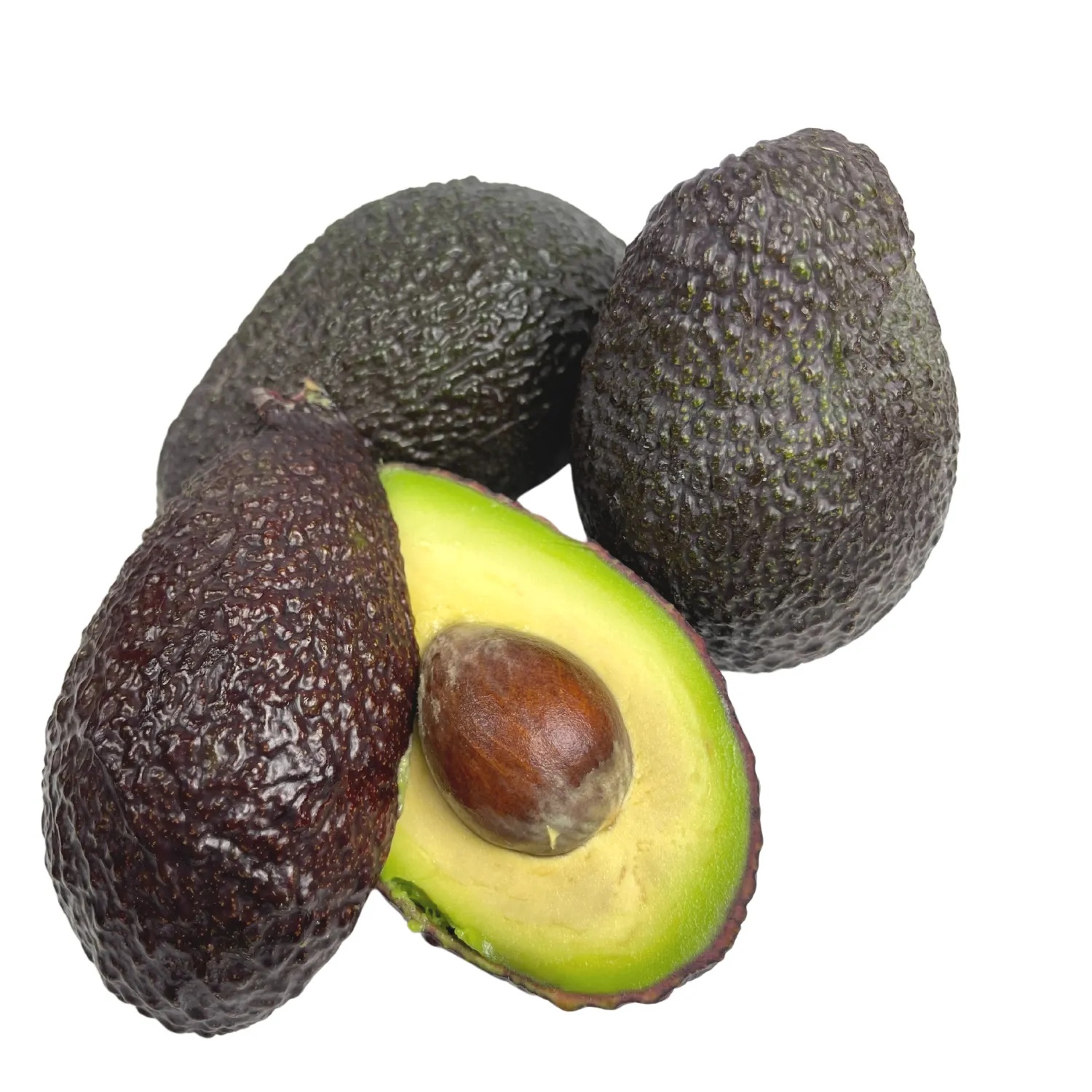 Avocado Bio