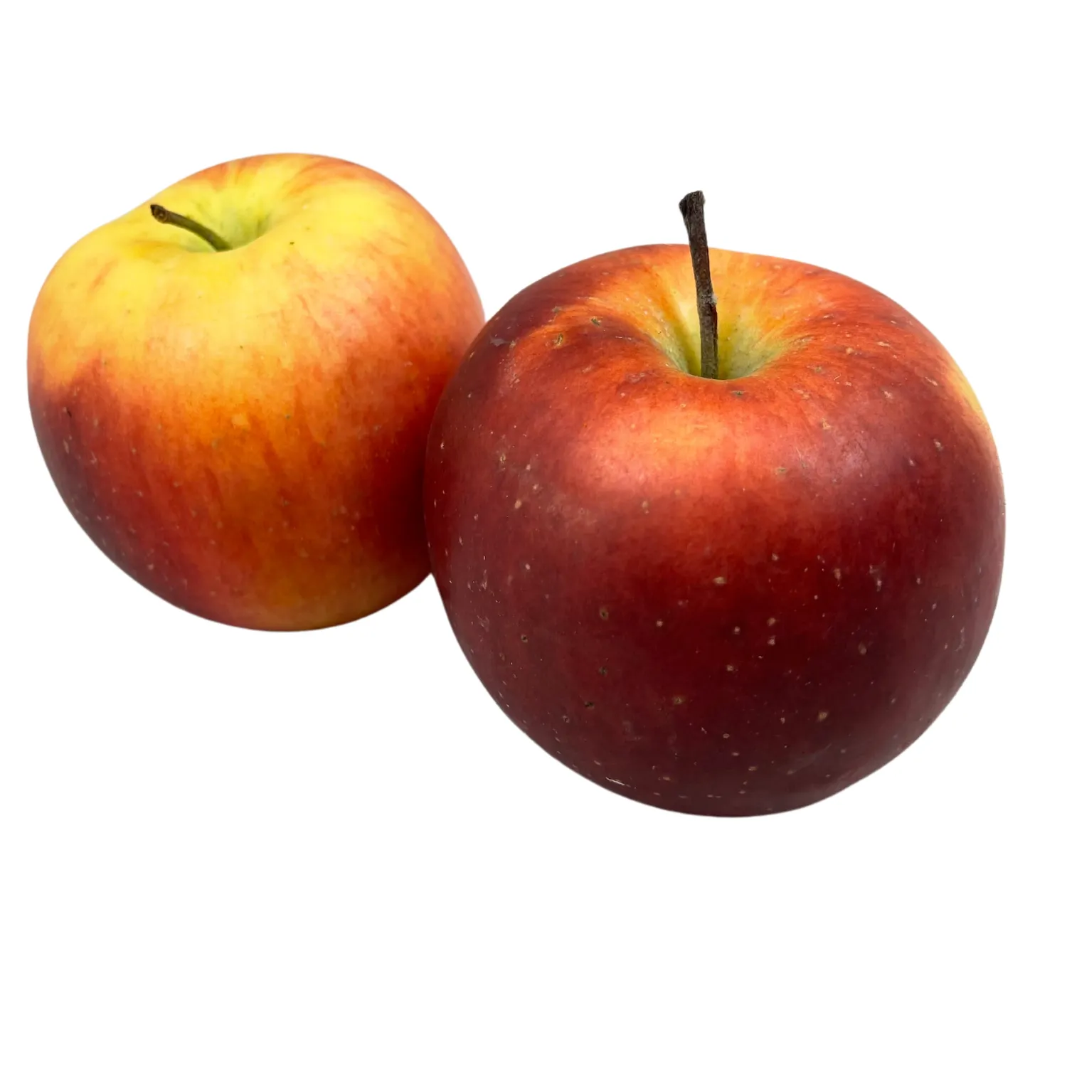 Äpfel rot Isaaq Bio - neue Ernte