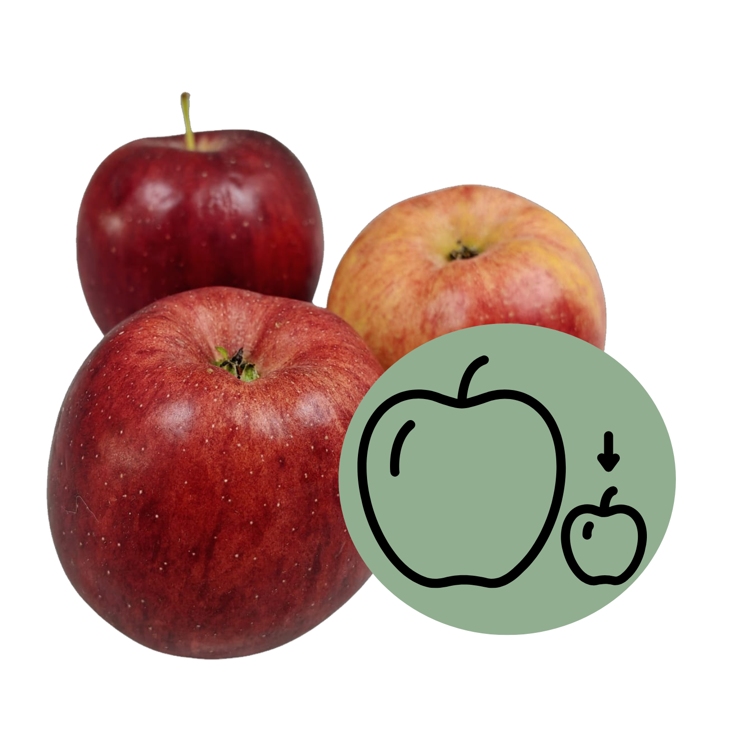 Äpfel Snack Isaaq Bio